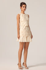 Load image into Gallery viewer, Tanisha Round Neck Sleeveless Flowers Lace Mini Dress
