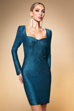 Load image into Gallery viewer, Gani Classic Contour Long Sleeve Bandage Maxi Dress