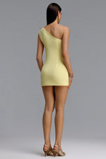 Load image into Gallery viewer, Kiele Soft Contour One Shoulder 3D Floral Embroidery Mini Dress