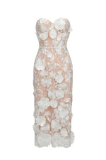 Load image into Gallery viewer, Oval Lace Tube Midi Dress