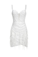 Load image into Gallery viewer, Tryphosa Feather Diamond Mini Dress
