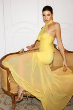 Load image into Gallery viewer, Ulasa Sleeveless Ruched Mesh Maxi Dress