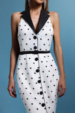 Load image into Gallery viewer, Daryl Sleevess Polka Dot V-Neck Maxi Dress