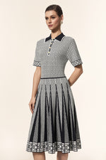 Load image into Gallery viewer, Reye Lapel Short Sleeves Jacquard Folds Mini Dress