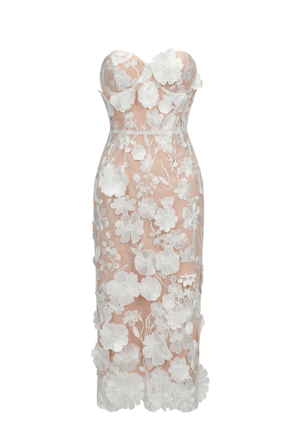 Oval Lace Tube Midi Dress