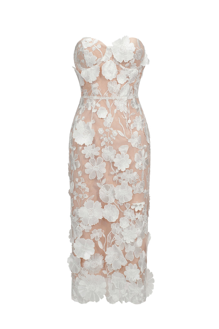 Oval Lace Tube Midi Dress
